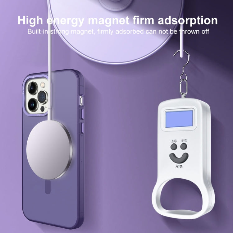 For iPhone 15 Pro MagSafe Frosted Translucent Mist Phone Case(White) - iPhone 15 Pro Cases by buy2fix | Online Shopping UK | buy2fix