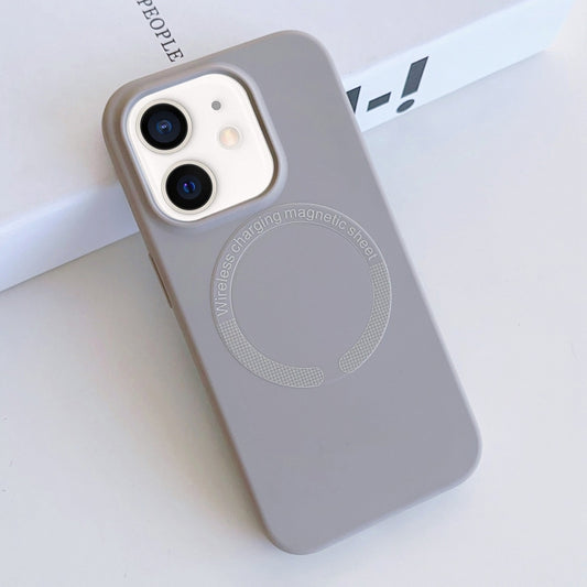 For iPhone 11 MagSafe Magnetic Liquid Silicone Phone Case(Grey) - iPhone 11 Cases by buy2fix | Online Shopping UK | buy2fix