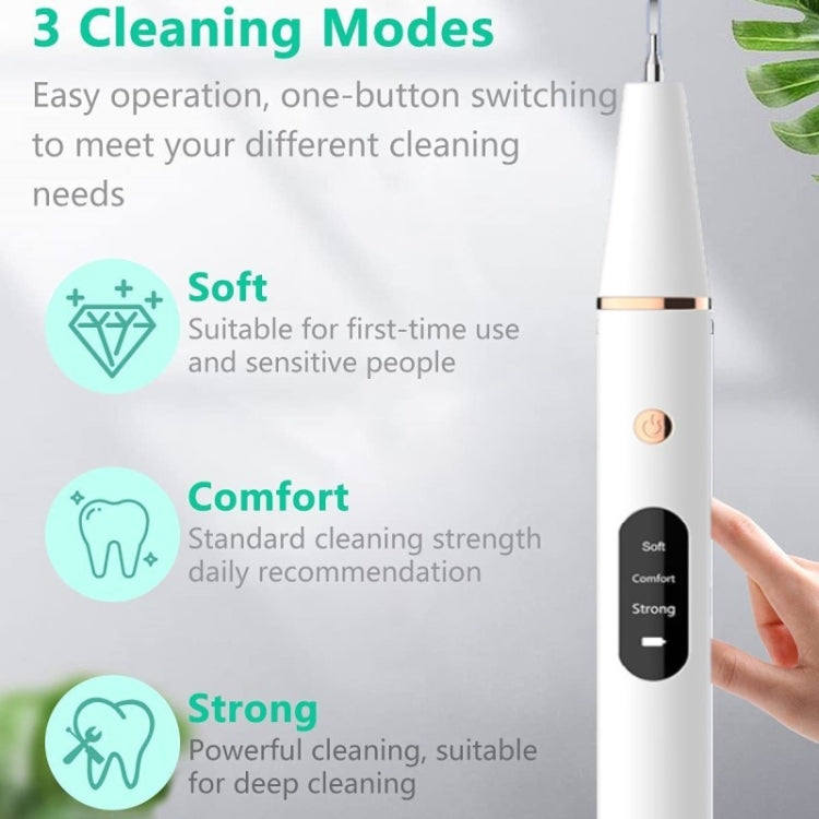 Ultrasonic Electric Dental Scaler Teeth Plaque Cleaner Dental Stone Removal With LED Light, Spec: Package A with Accessories - Teeth Whitening by buy2fix | Online Shopping UK | buy2fix