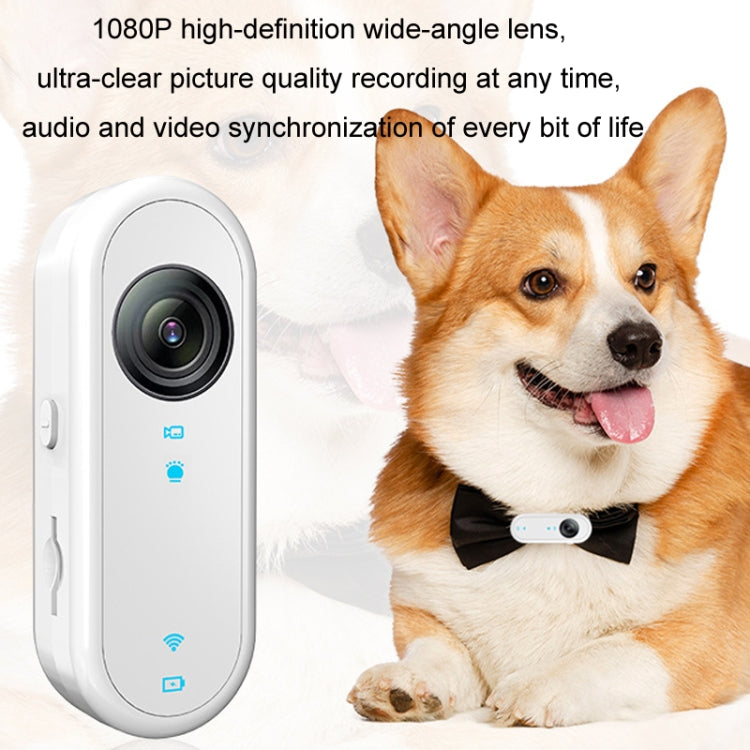 HD Outdoor Portable Pet Recorder Cycling Sports Camera, Specifications: With Silicone Collar+32G TF Card - Video Cameras by buy2fix | Online Shopping UK | buy2fix