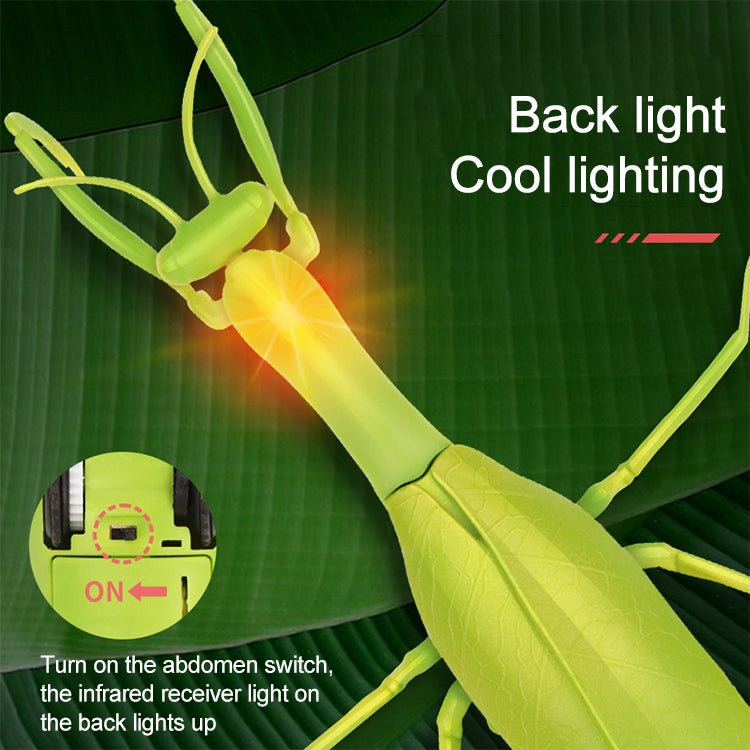 6661 Infrared Sensor Remote Control Simulated Praying Mantis Creative Children Electric Tricky Toy Model -  by buy2fix | Online Shopping UK | buy2fix