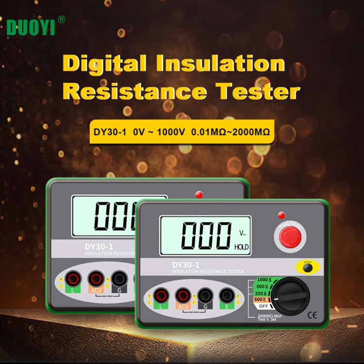 DUOYI DY30-1 Car Digital Insulation Resistance Tester Meter - In Car by buy2fix | Online Shopping UK | buy2fix