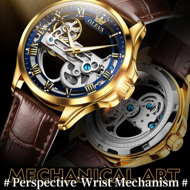 OLEVS 6661 Men Fashion Luminous Waterproof Mechanical Watch(Blue + Gold) - Leather Strap Watches by OLEVS | Online Shopping UK | buy2fix