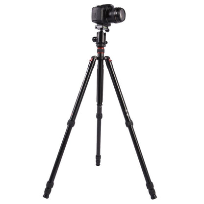Triopo MT-2804C Adjustable Portable Aluminum Tripod (Gold) with NB-2S Ball Head (Black) for Canon Nikon Sony DSLR Camera - Camera Accessories by TRIOPO | Online Shopping UK | buy2fix