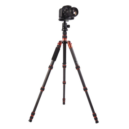 Triopo GT-2505x8.C Adjustable Portable Carbon Fiber Tripod with B-1 Aluminum Ball Head for Canon Nikon Sony DSLR Camera(Black) - Tripods by TRIOPO | Online Shopping UK | buy2fix