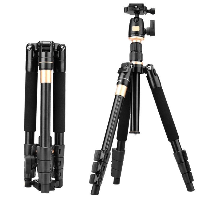 Q555 4-Section Folding Legs Aluminum Alloy Tripod Mount Monopod Holder with Ball Head - Camera Accessories by buy2fix | Online Shopping UK | buy2fix