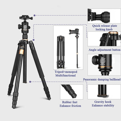 Q222 Portable 4-Section Folding Legs Aluminum Alloy Tripod Mount Monopod Holder with Ball Heads - Camera Accessories by buy2fix | Online Shopping UK | buy2fix