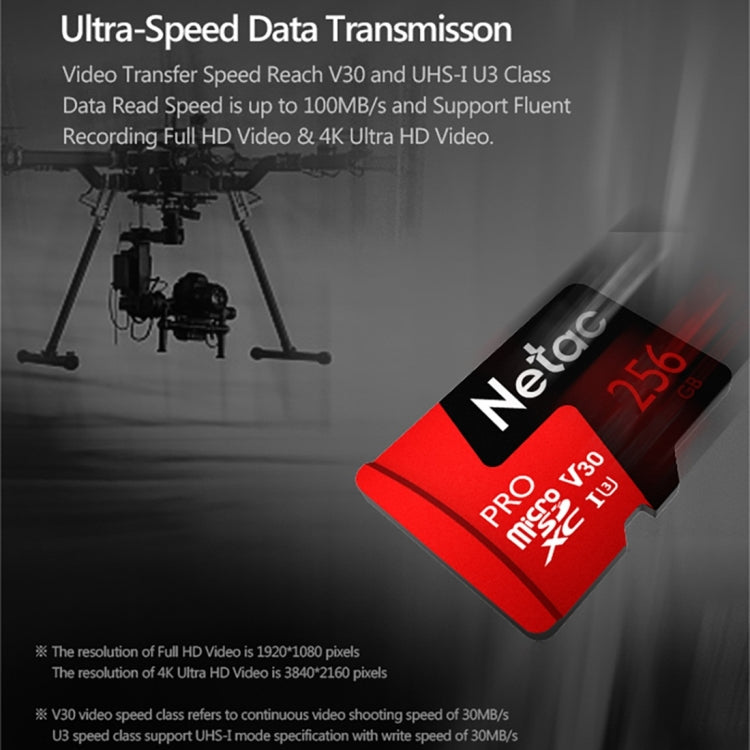 Netac P500 PRO 256GB U3 Speed Level Automobile Data Recorder Monitor Camera Memory Card TF Card - Micro SD Card by Netac | Online Shopping UK | buy2fix